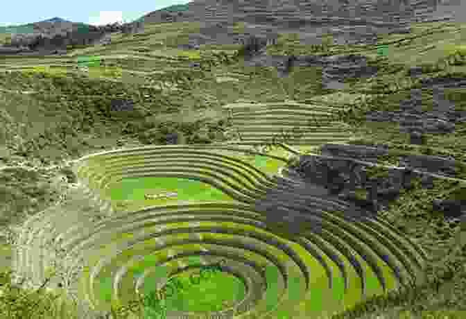 A View Of Terraced Farming In The Sacred Valley, A Testament To The Incas' Agricultural Ingenuity History For Kids: Incan Empire: History Of The Incan Empire And Civilization (Ancient Civilization)