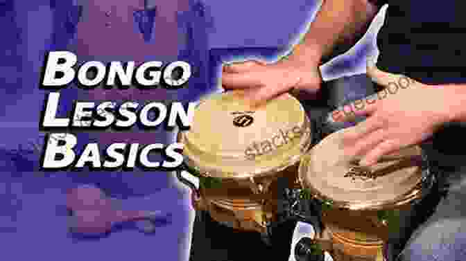 Bongos Beginner S Guide To Percussion: 2 Mallets: A Quick Reference Guide To Percussion Instruments And How To Play Them