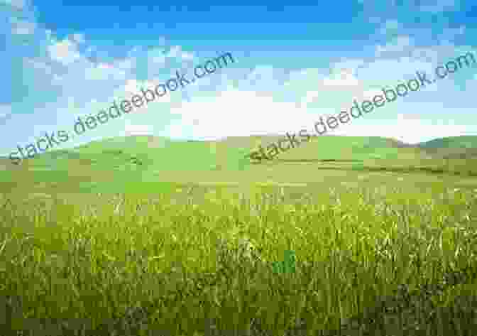 Image Of A Serene Meadow With Rolling Hills In The Background. Words Of Worship: 30 Devotions Based On Songs And Hymns