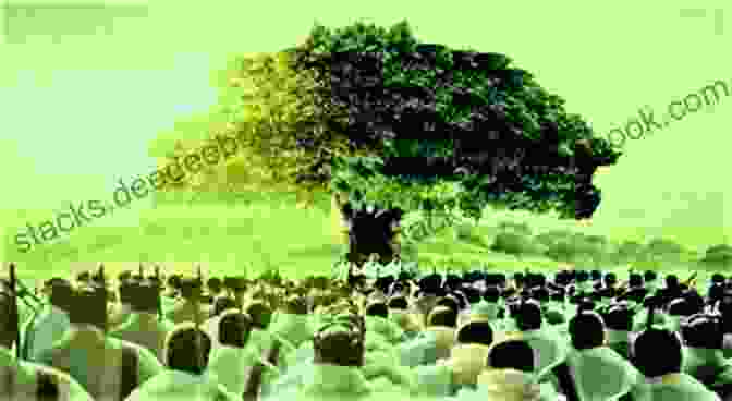 Oromo Gadaa System Meeting Under A Sacred Tree The Oromo Movement And Imperial Politics: Culture And Ideology In Oromia And Ethiopia