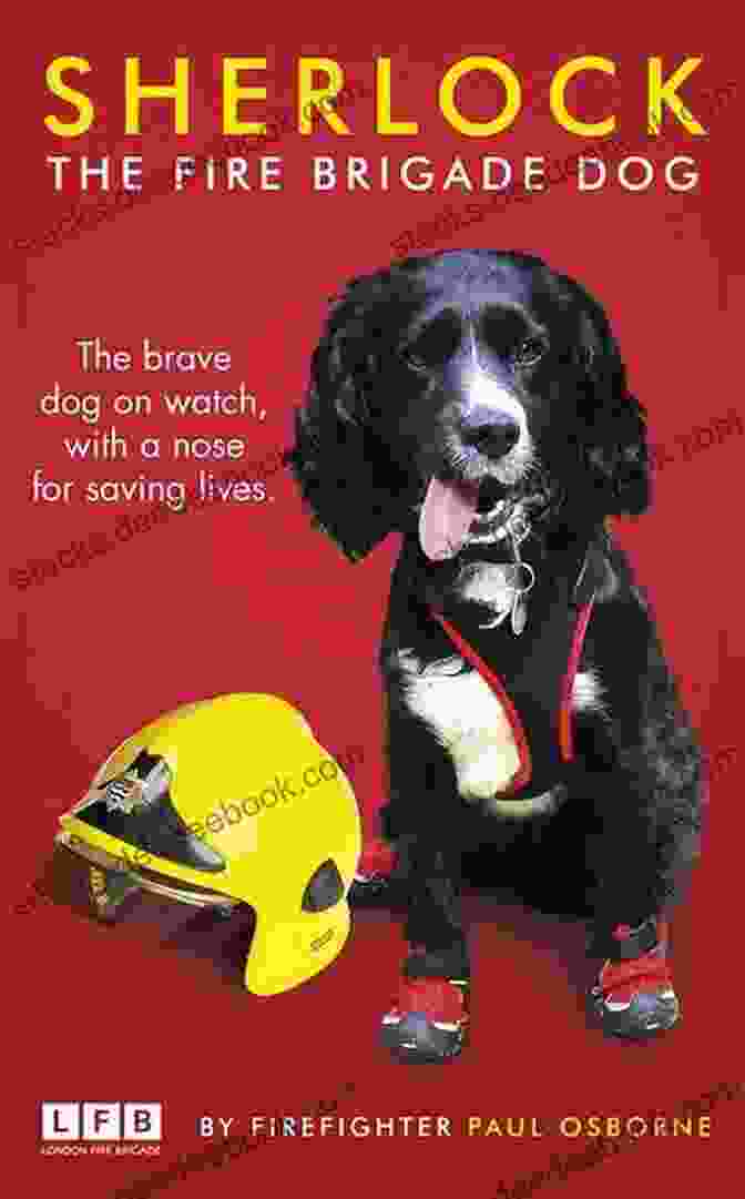 Sherlock The Fire Brigade Dog Posing With Firefighters Sherlock: The Fire Brigade Dog