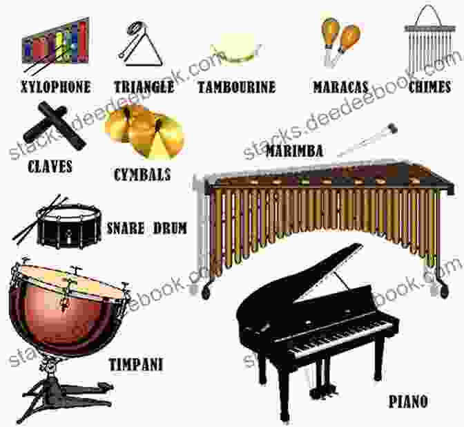 Tambourine Beginner S Guide To Percussion: 2 Mallets: A Quick Reference Guide To Percussion Instruments And How To Play Them