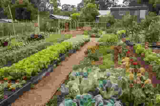 Vibrant And Lush Gardens At Amara Farm, Featuring Rows Of Vegetables, Herbs, And Flowers. Amara S Farm (Where In The Garden? 1)