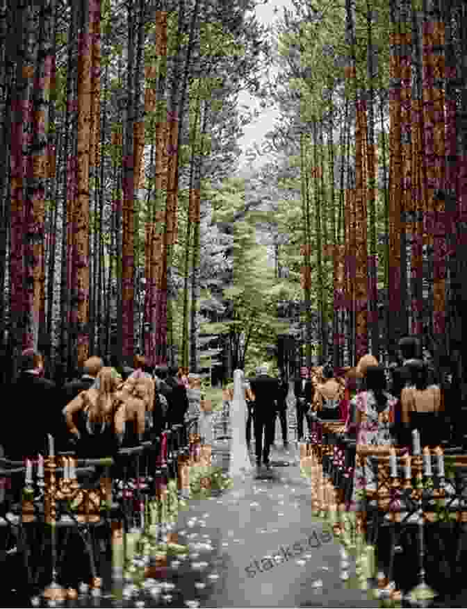 Wedding Ceremony At Hidden In The Trees At Bellingwood Hidden In The Trees (Bellingwood)