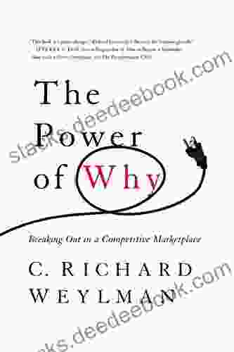 The Power Of Why: Breaking Out In A Competitive Marketplace