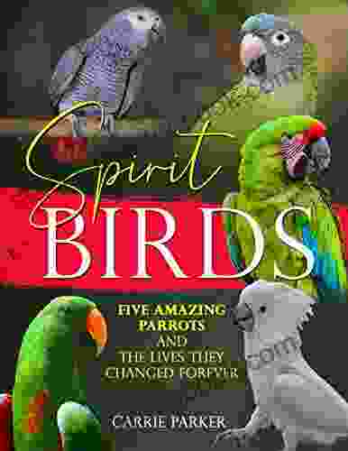 Spirit Birds: Five Amazing Parrots And The Lives They Changed Forever
