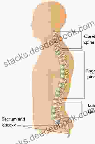 Fractures Of The Cervical Thoracic And Lumbar Spine