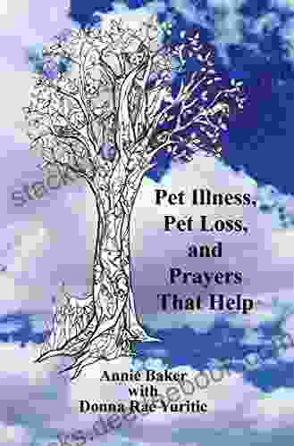 Pet Illness Pet Loss And Prayers That Help