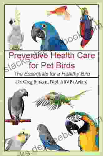 Preventative Health Care For Pet Birds: The Essentials For A Healthy Bird