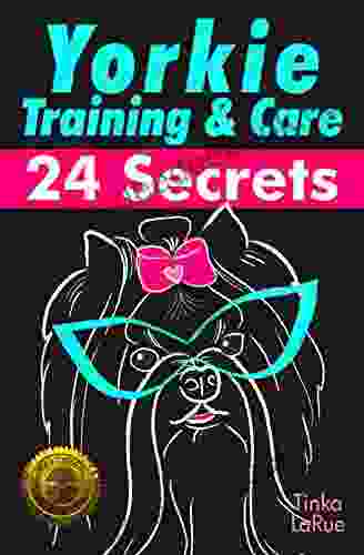 Yorkie Training Care: 24 Secrets Jonathan Bergmann